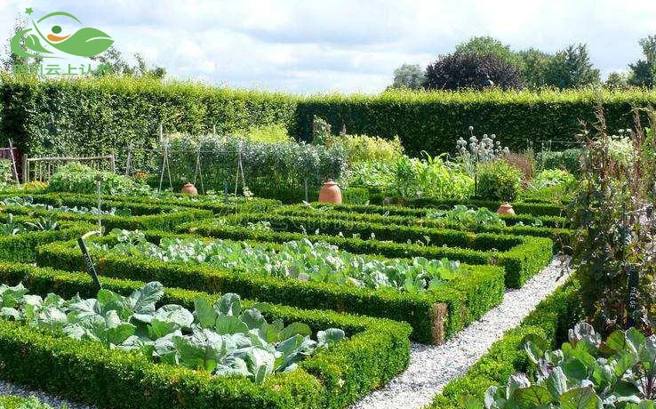 可视化认养农民增收新路径，乡村振兴新实践