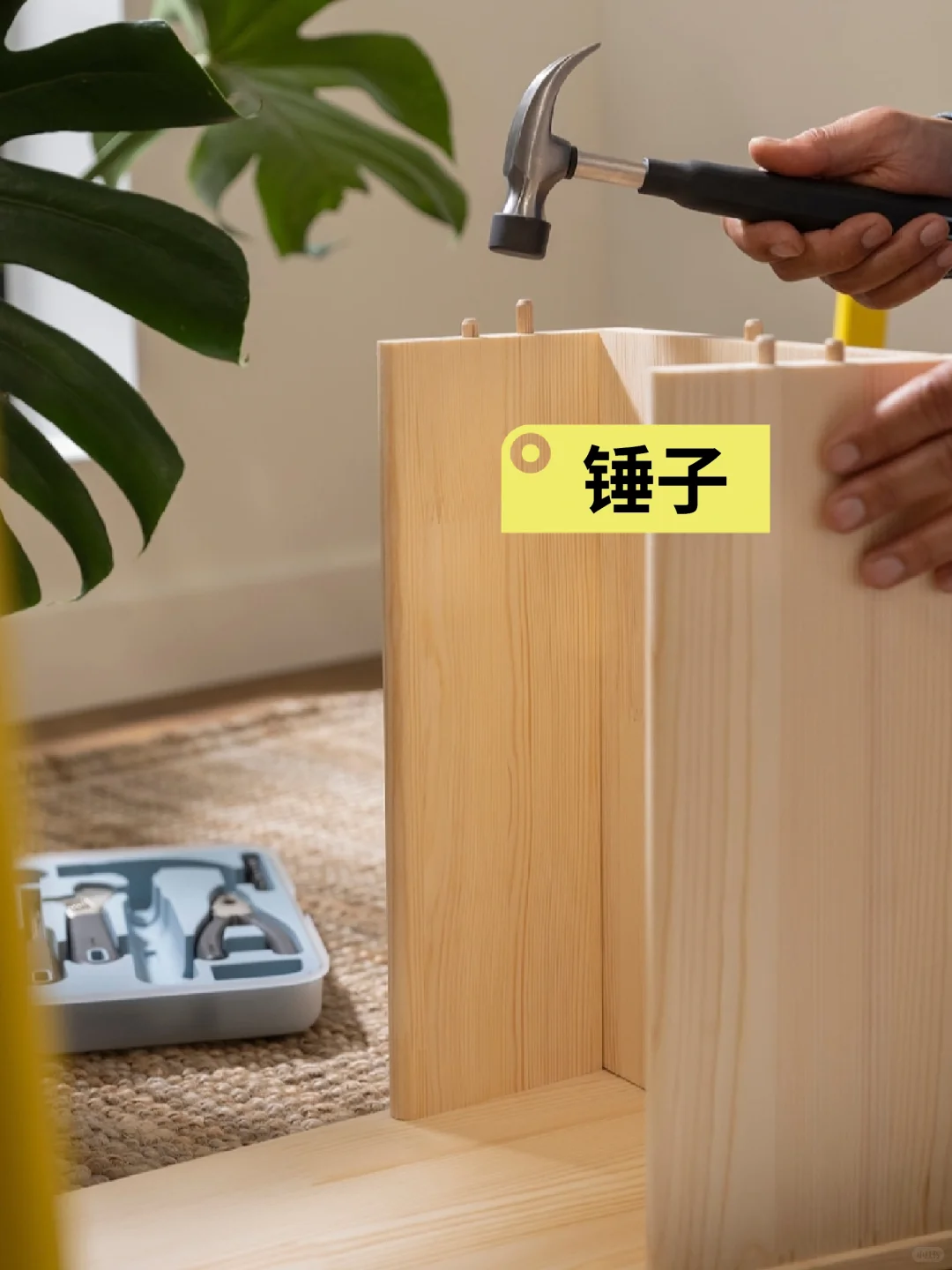 家庭必备工具箱(墙)|女生独立