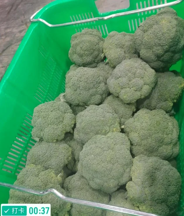 90后开餐饮还能赚钱吗？