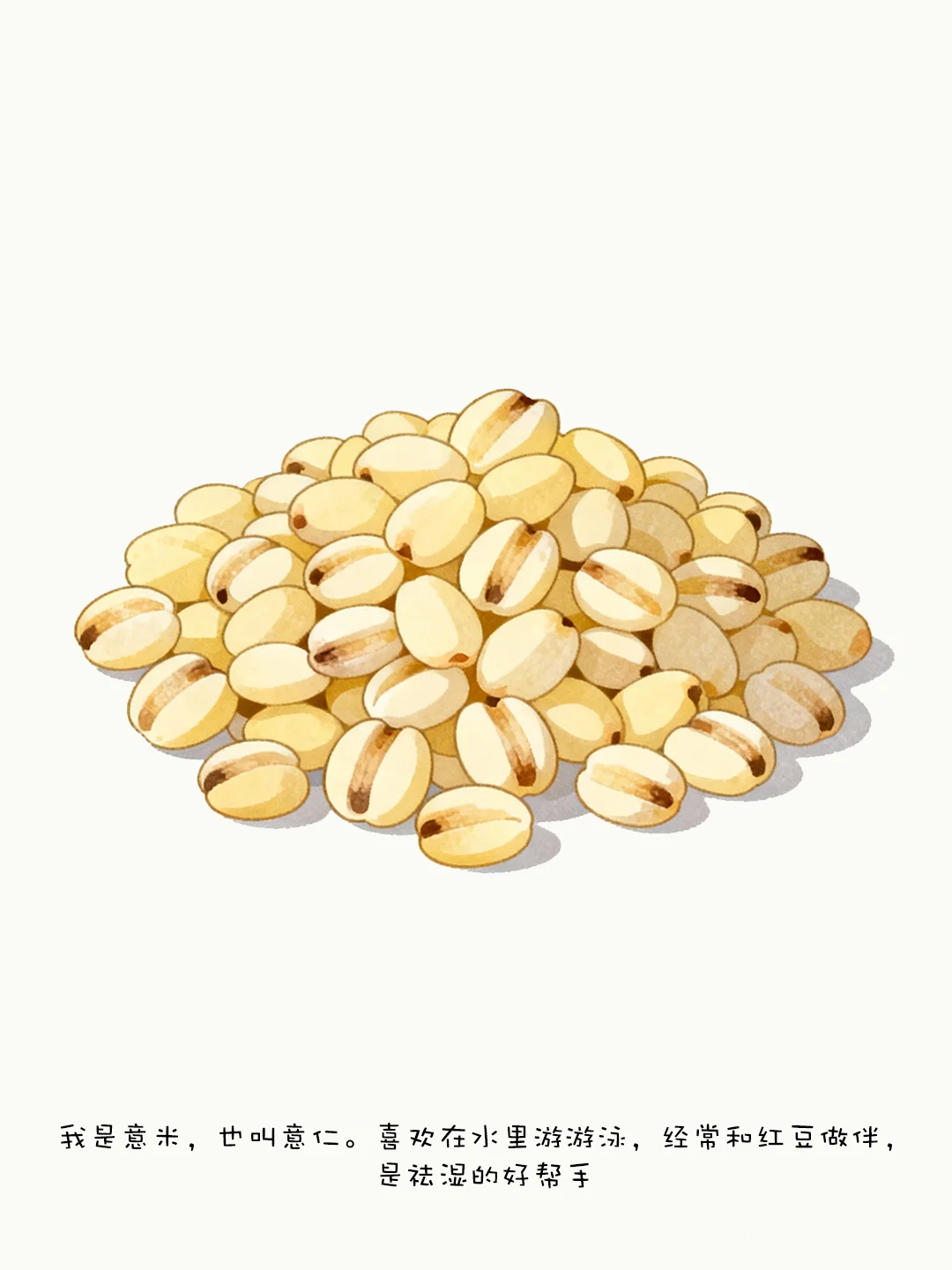 ?五谷豆豆魔法书！宝妈必入！