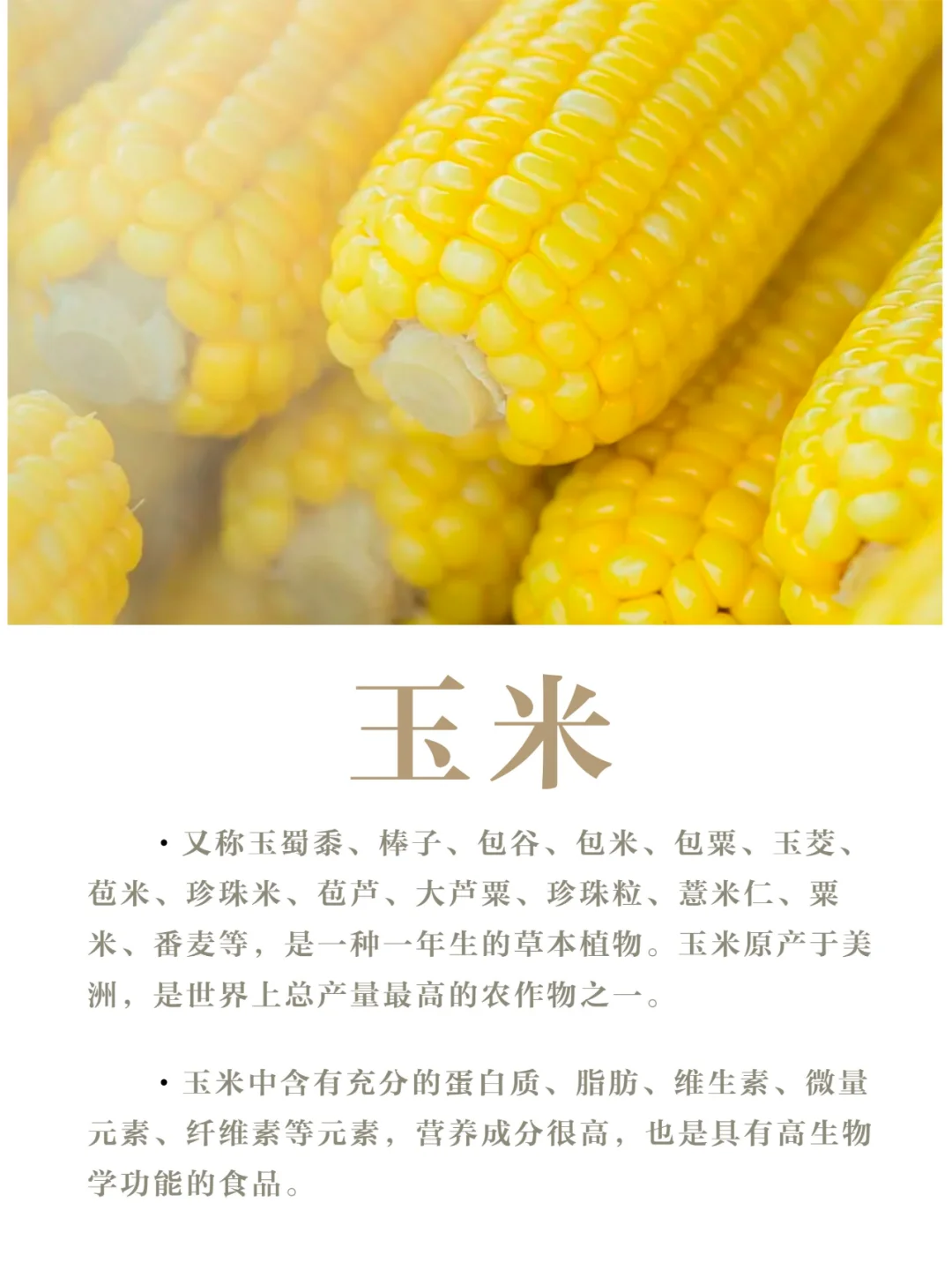 【小科普】我国的三大粮食作物是啥？