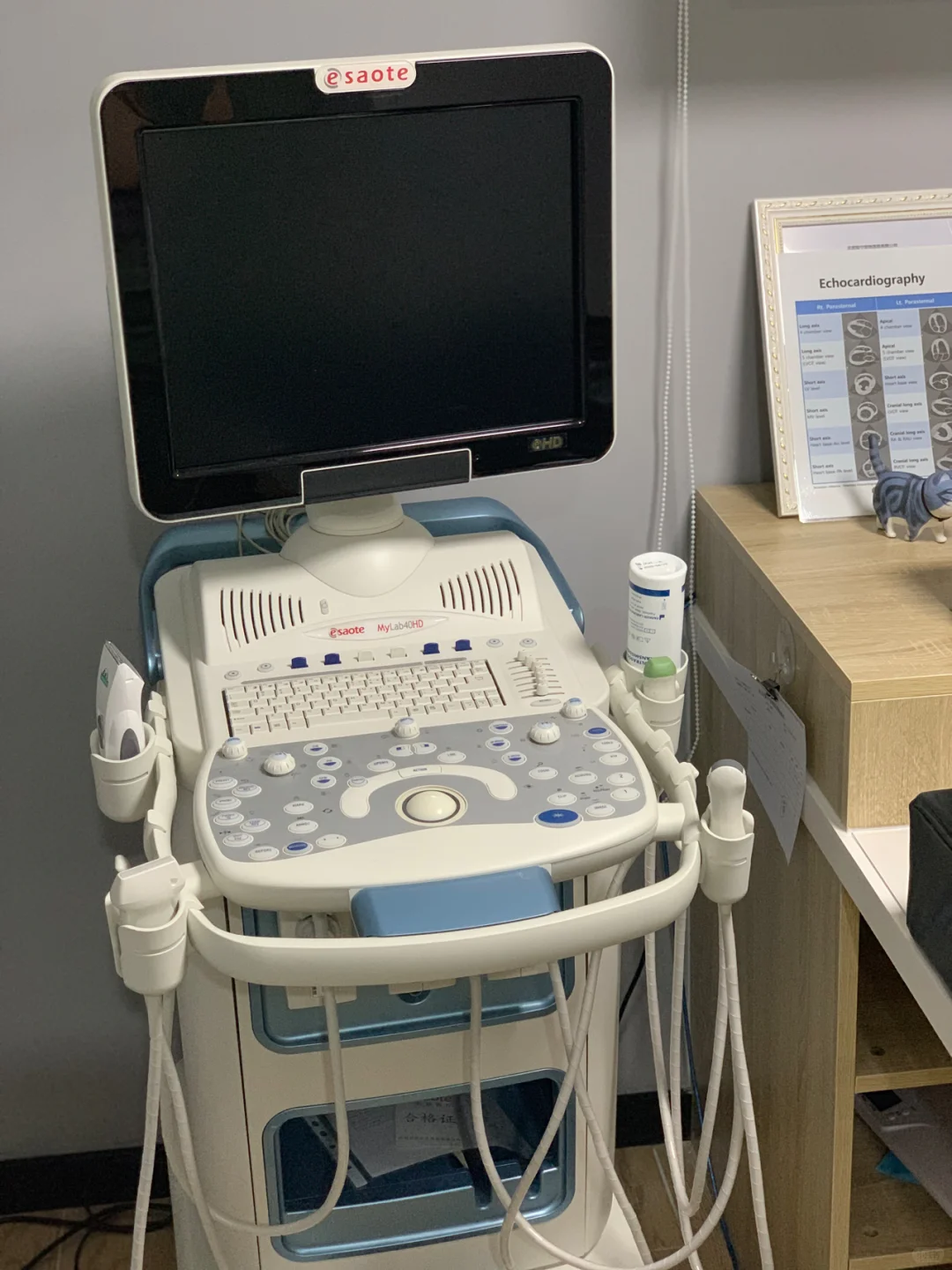 猜一猜这个彩超机的价格？