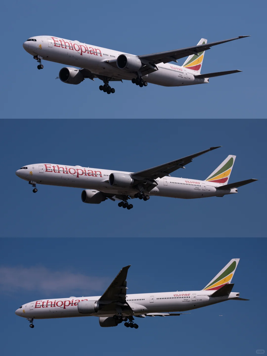 全新解锁埃塞航77W❗