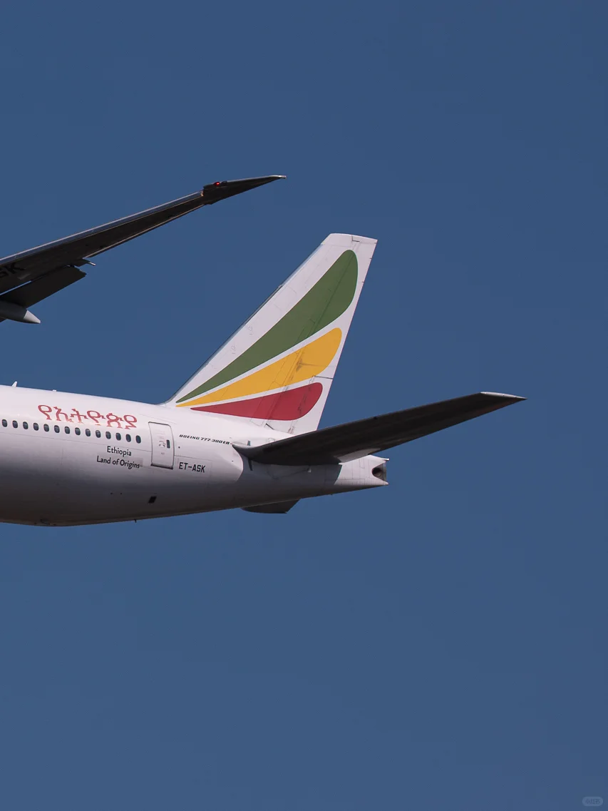 全新解锁埃塞航77W❗