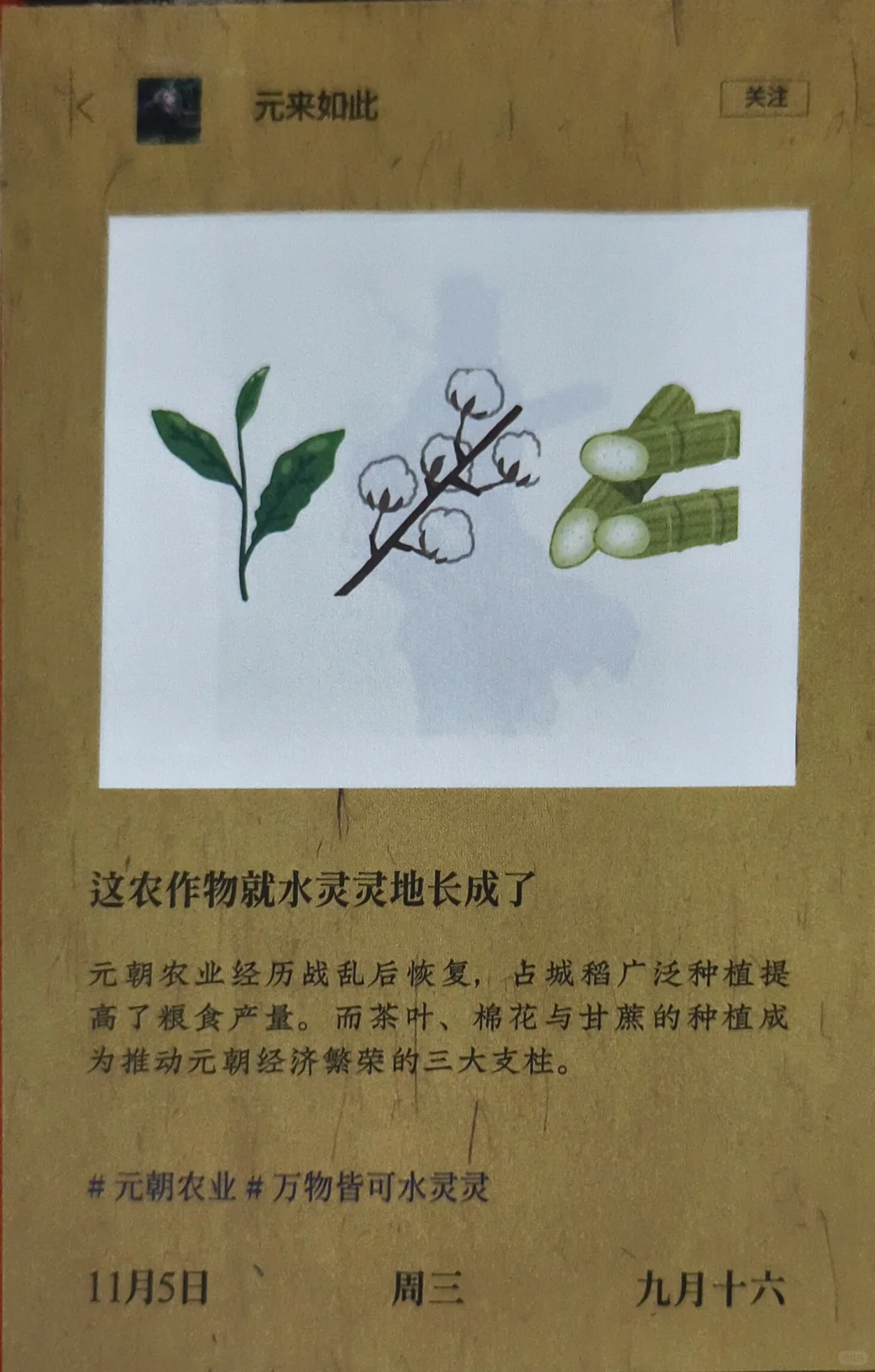 11.5元朝 | 这农作物就水灵灵地长成了