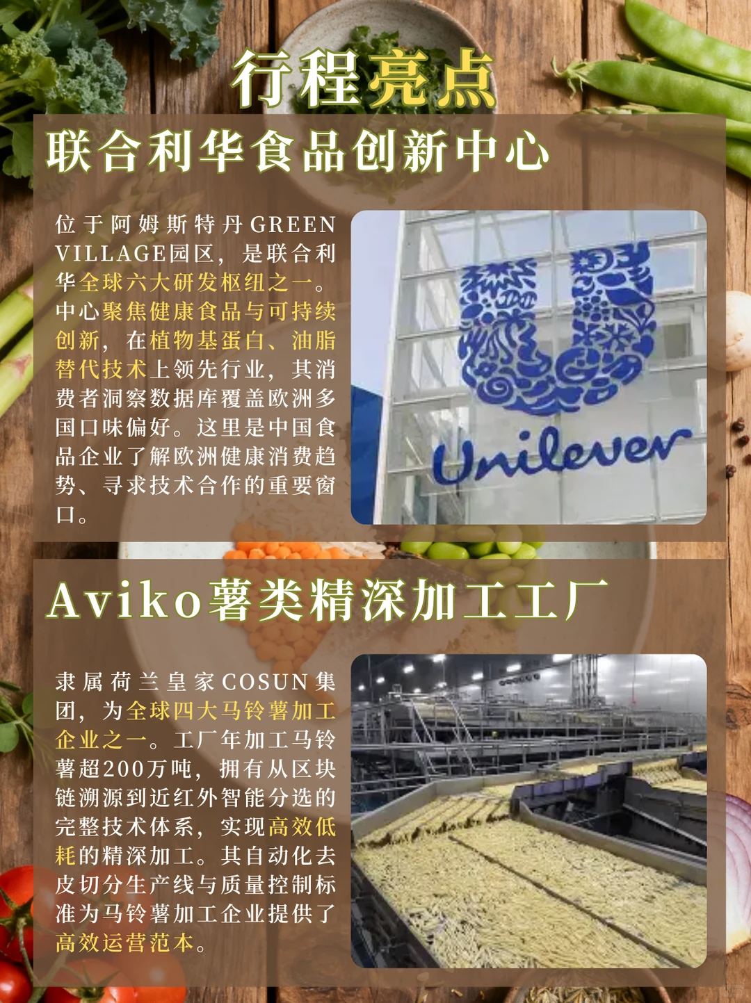 荷兰“食品硅谷”商务考察丨6天5晚