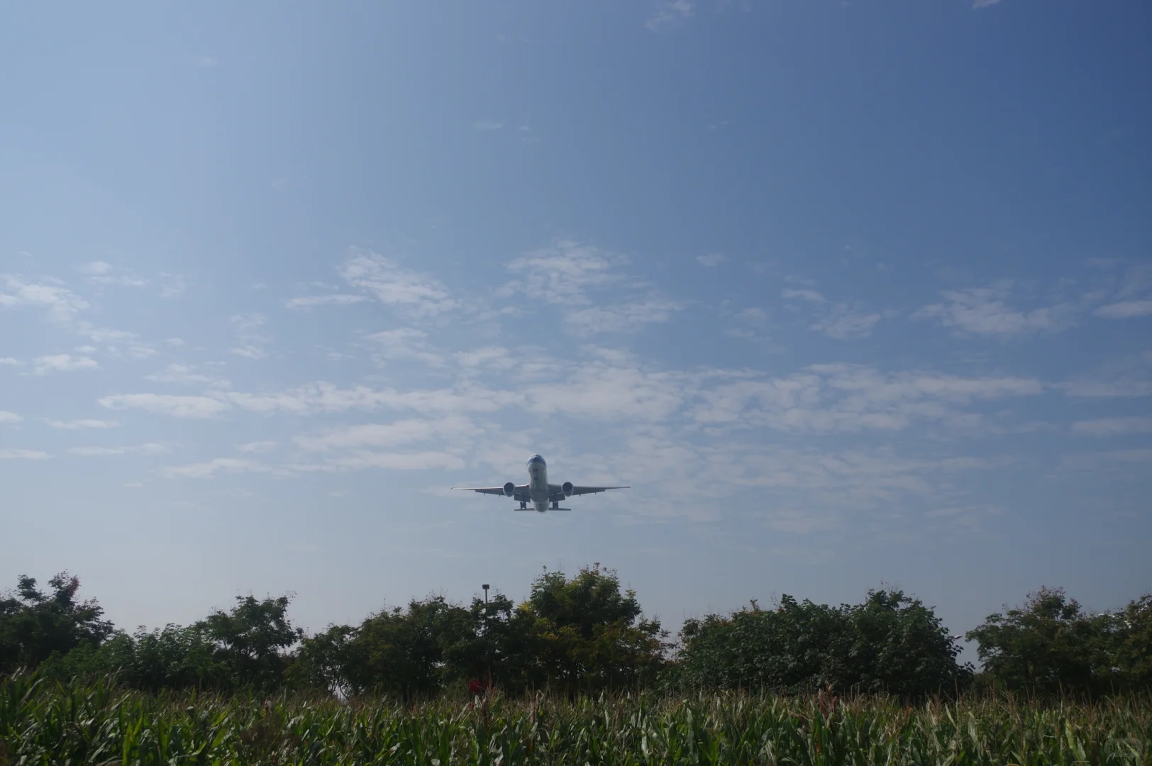 超宽体机降落确实带风