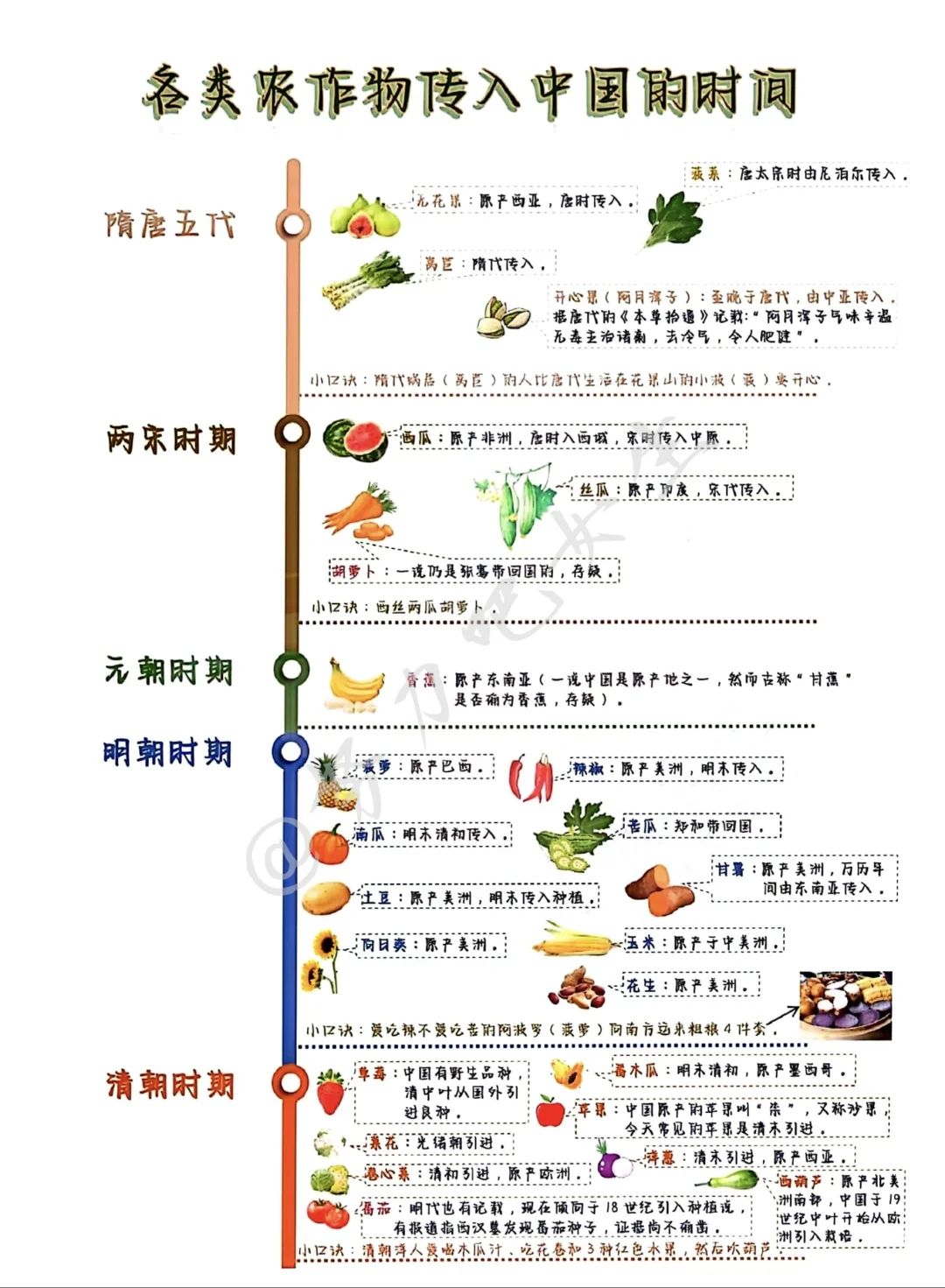 各种农作物传入中国的时间