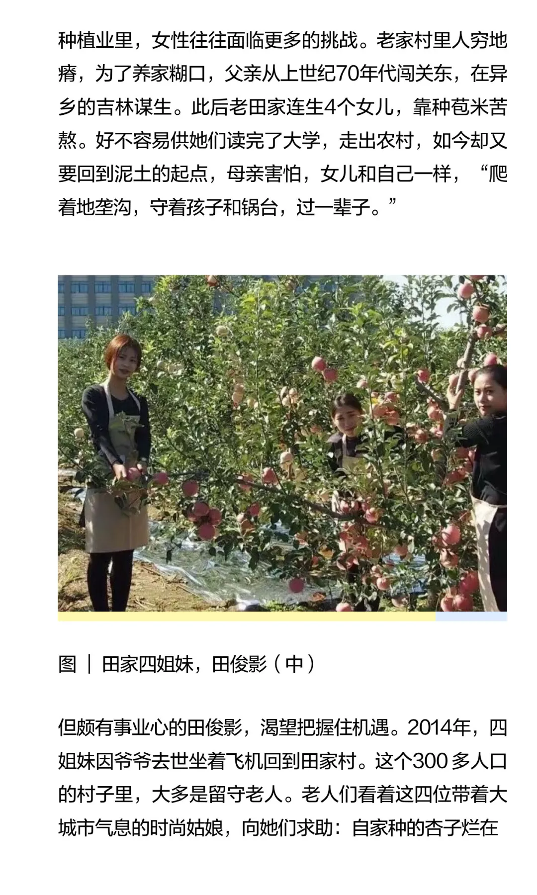 靠直播带货上牌桌的女人们