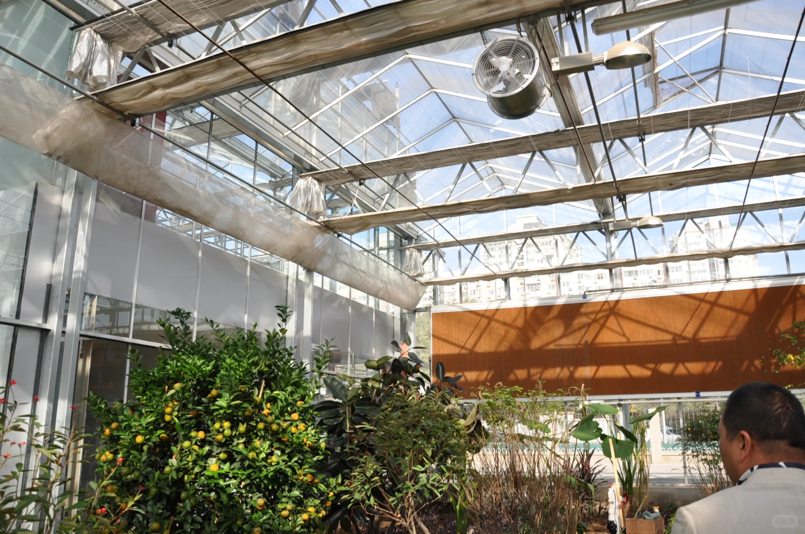 温室大棚控温控湿设备，送货上门，包安装。