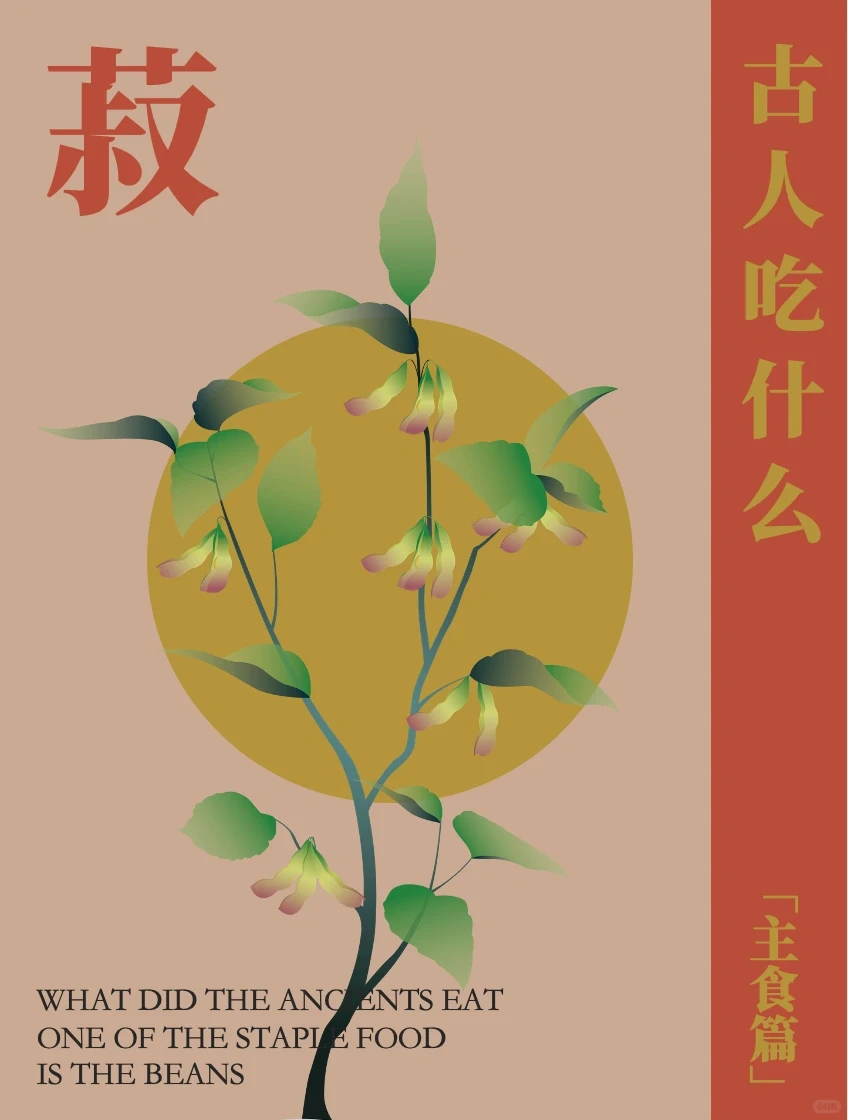 古人吃什么主食？粟、黍、麦、稻、菽！