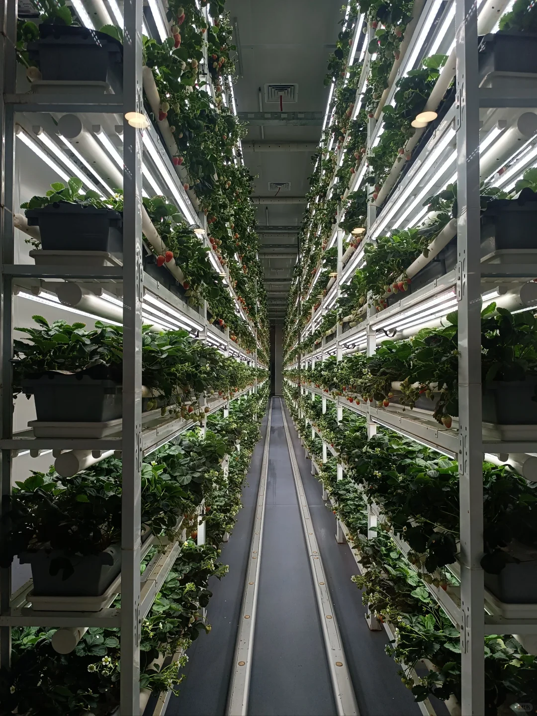 生活中的地理教学素材-四维生态数字农业