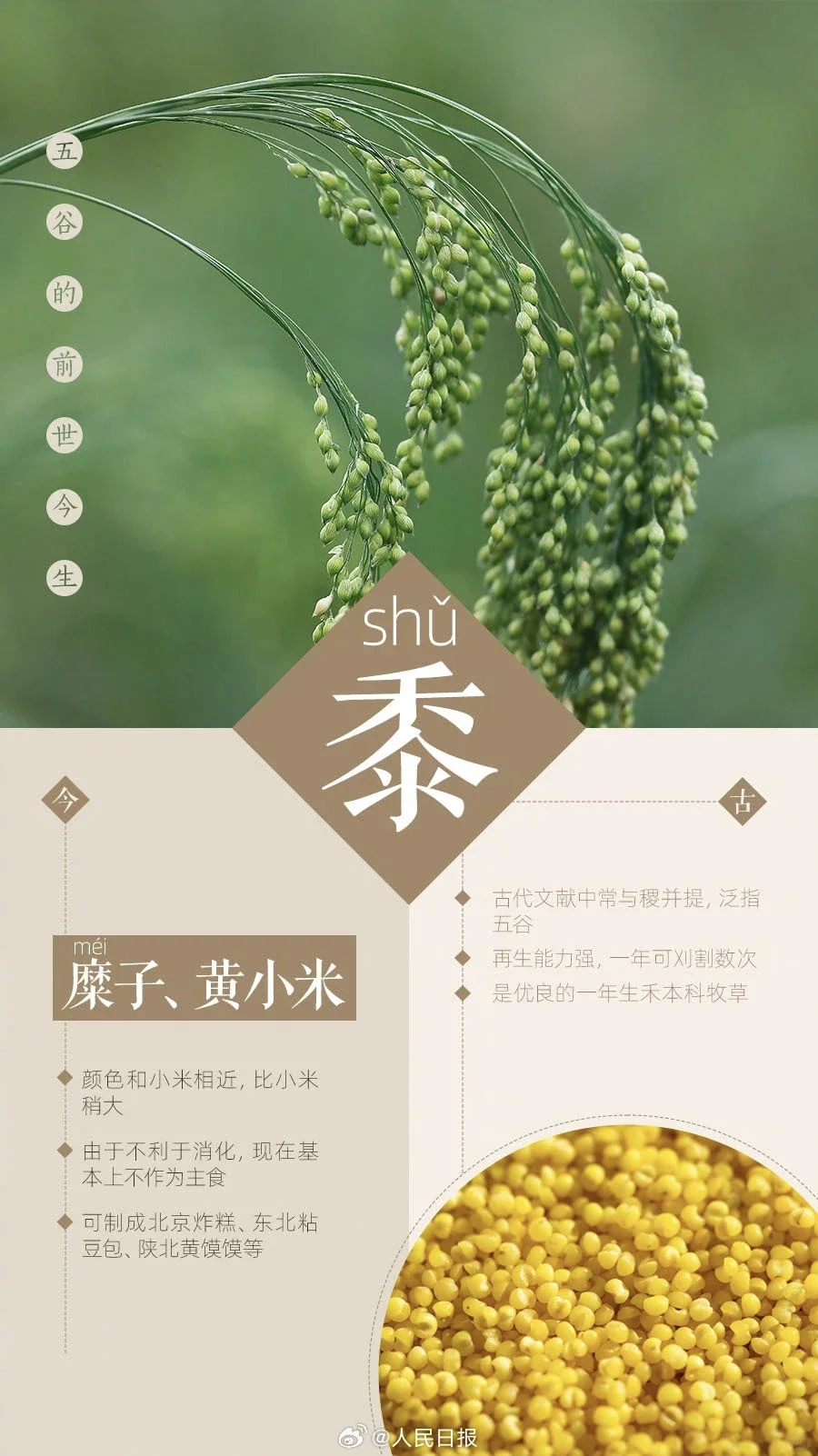 你知道五谷都有哪些吗？