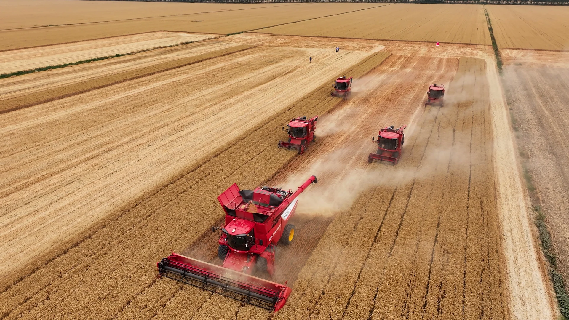全国主流媒体走进潍柴雷沃