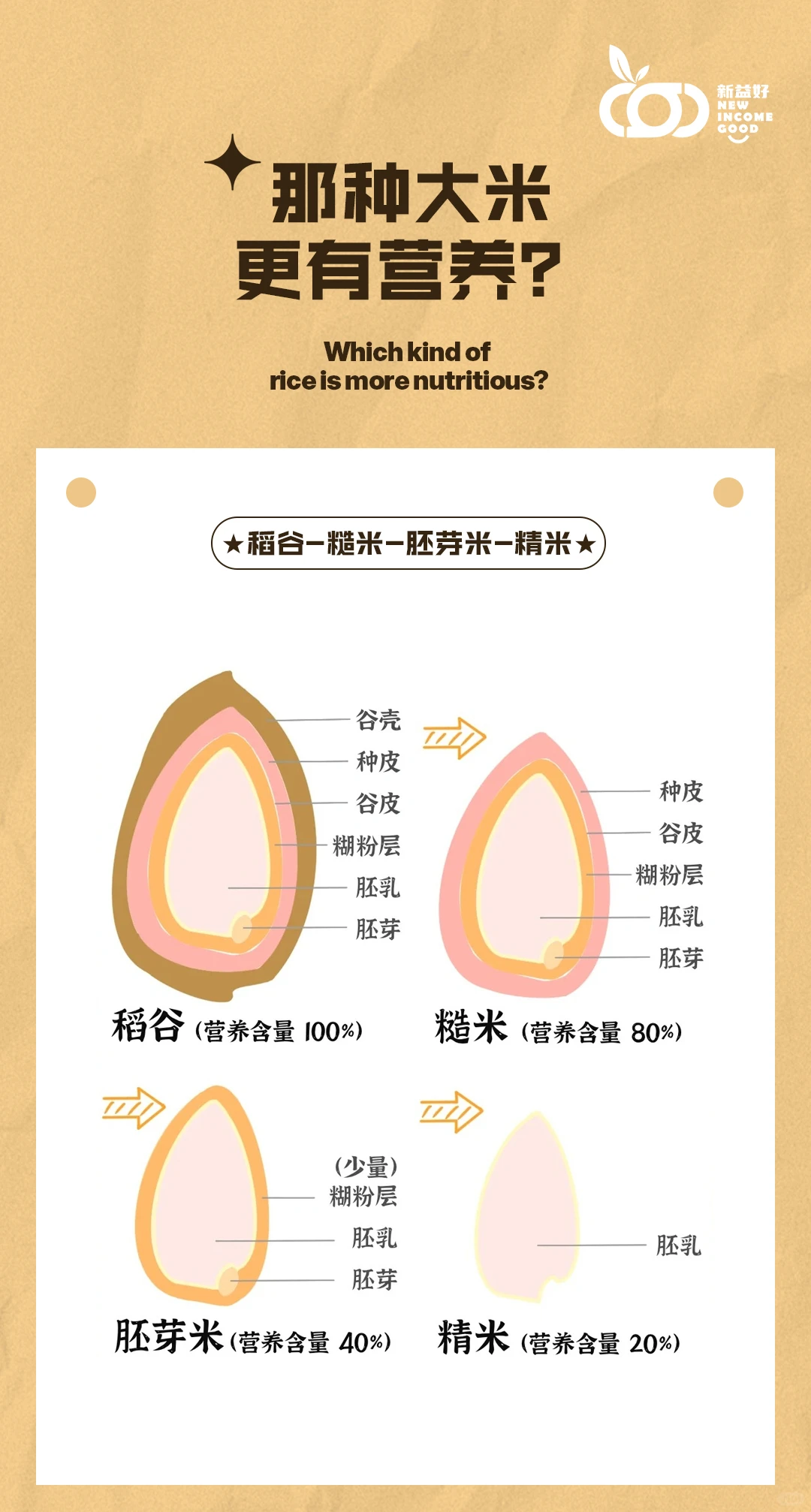 从稻谷到精米，营养含量大比拼