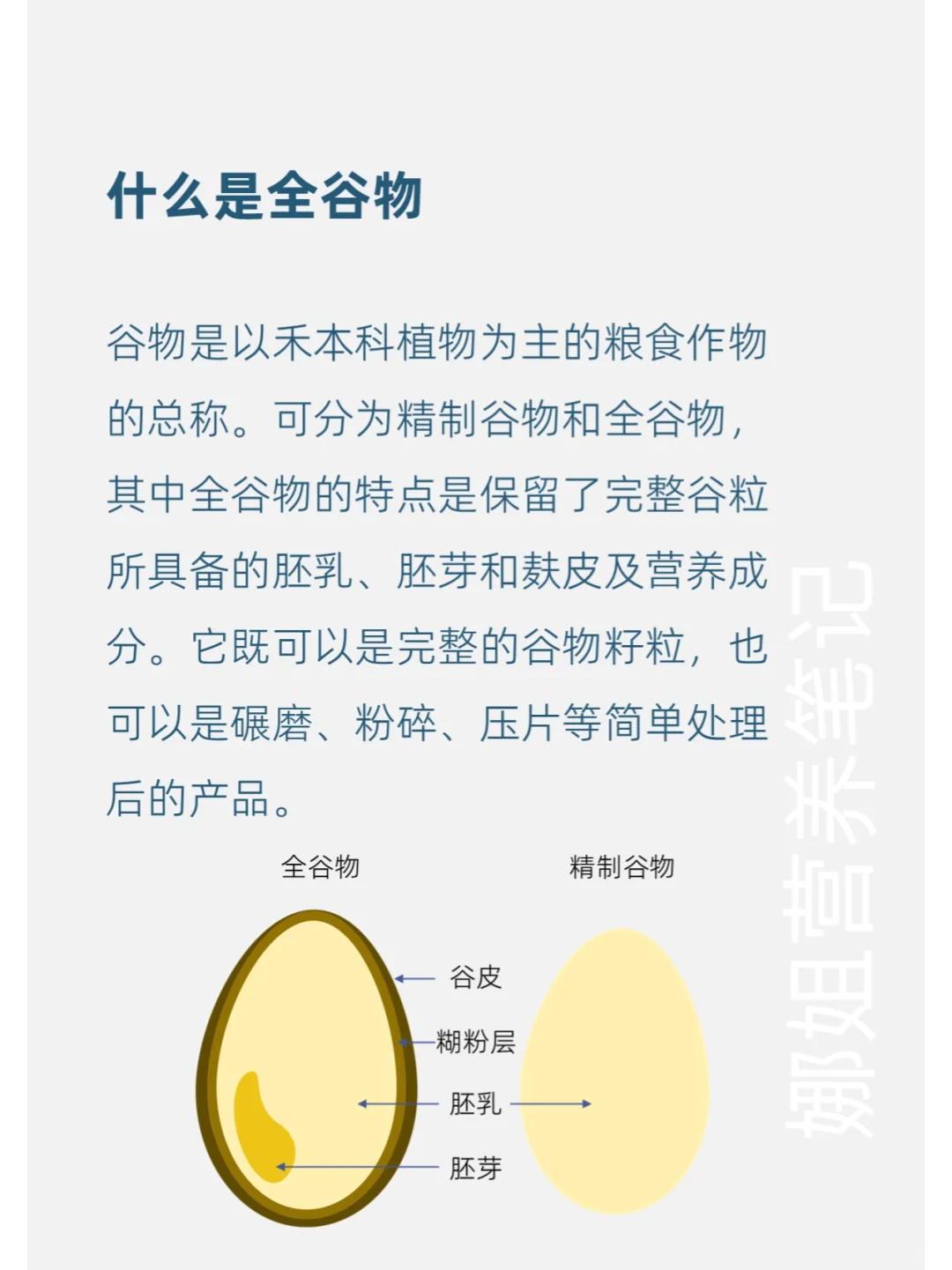 每天学点营养学——全谷物