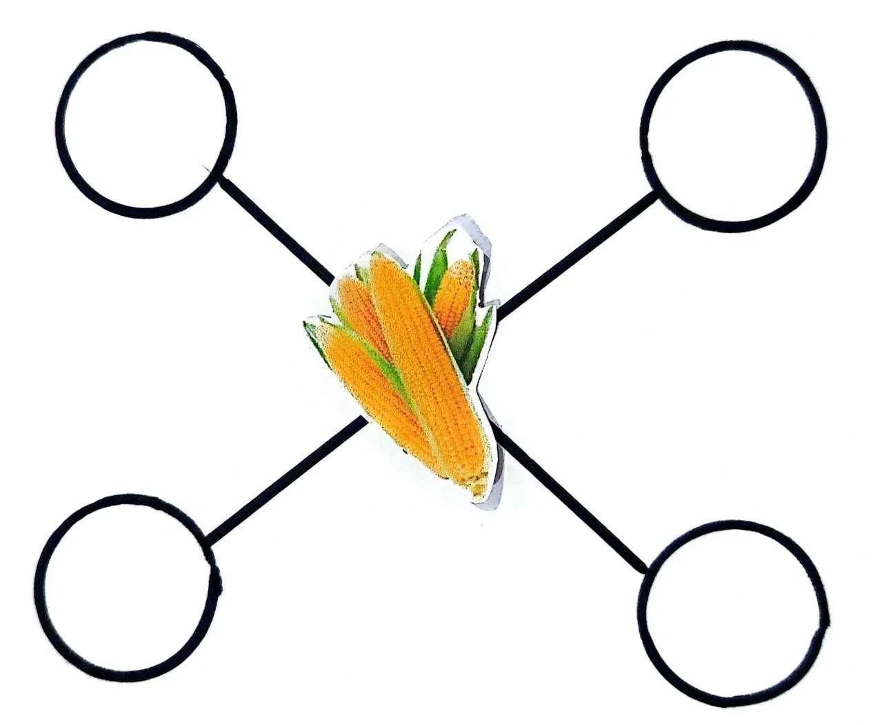 大班主题[丰收的季节]数学区（农作物加工）