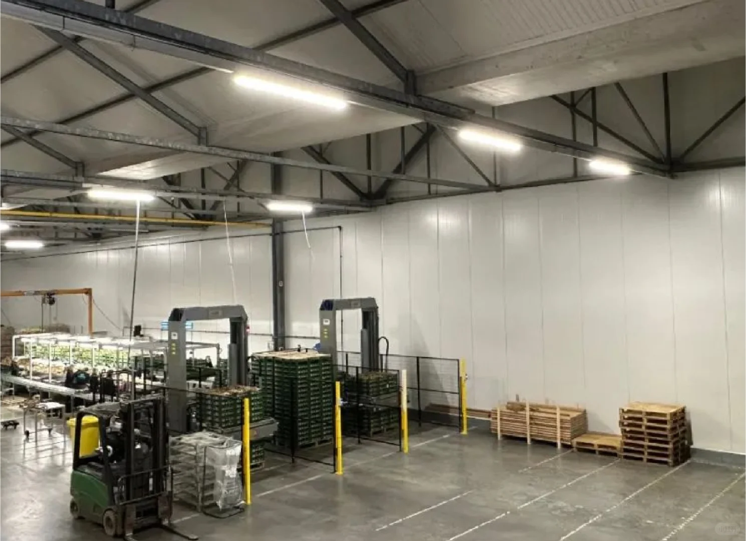 公司位于荷兰??的加工厂换新升级