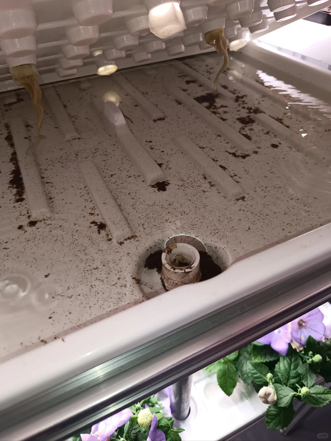 生活中的地理教学素材-四维生态数字农业