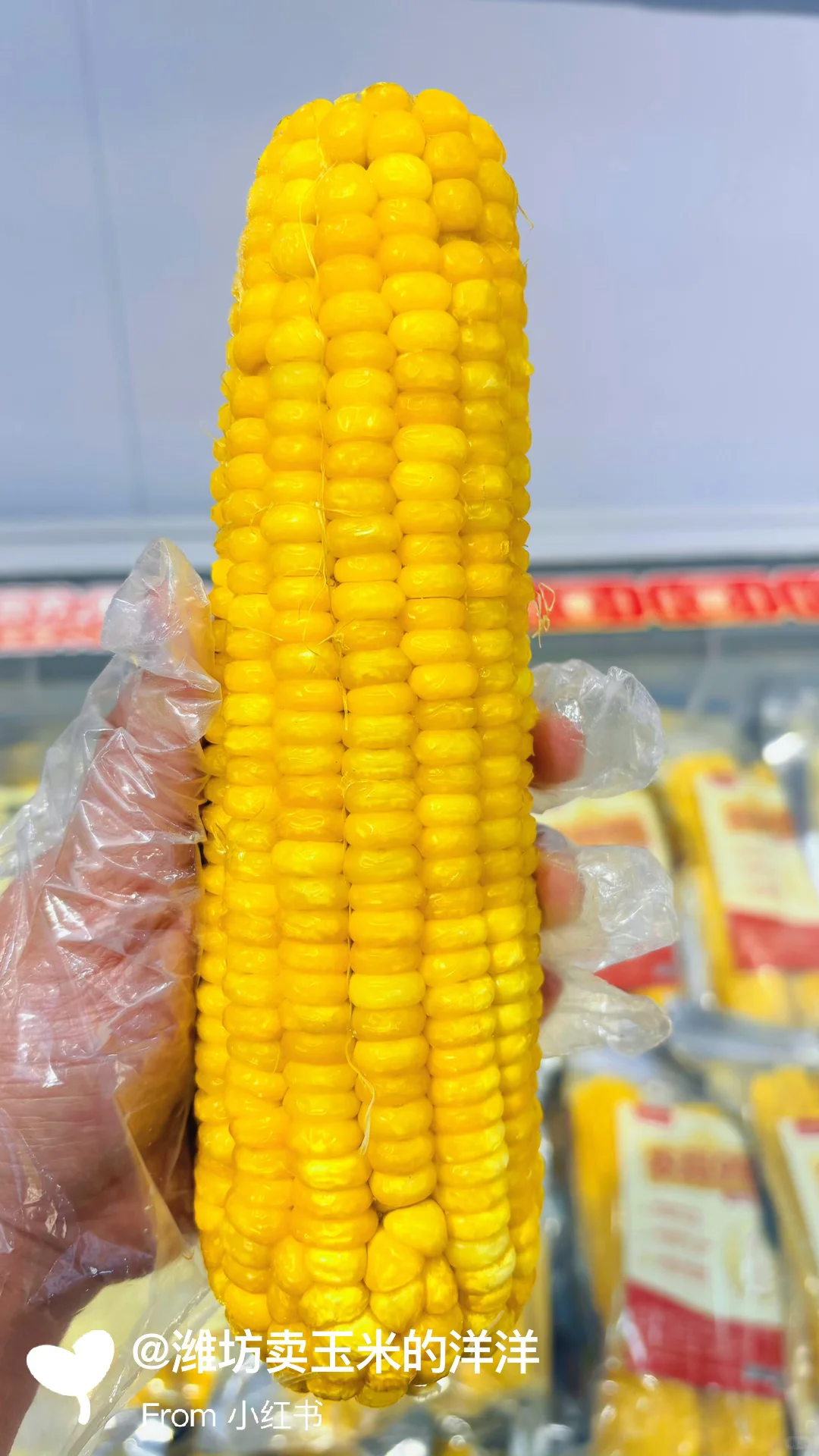 玉米有趣的冷知识，我敢说，大部分人不知道