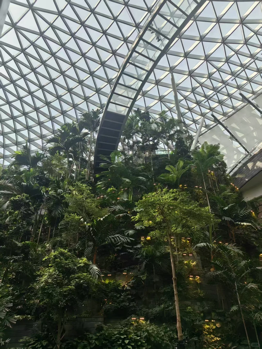 Day74 新加坡樟宜机场,一个不务正业的机场