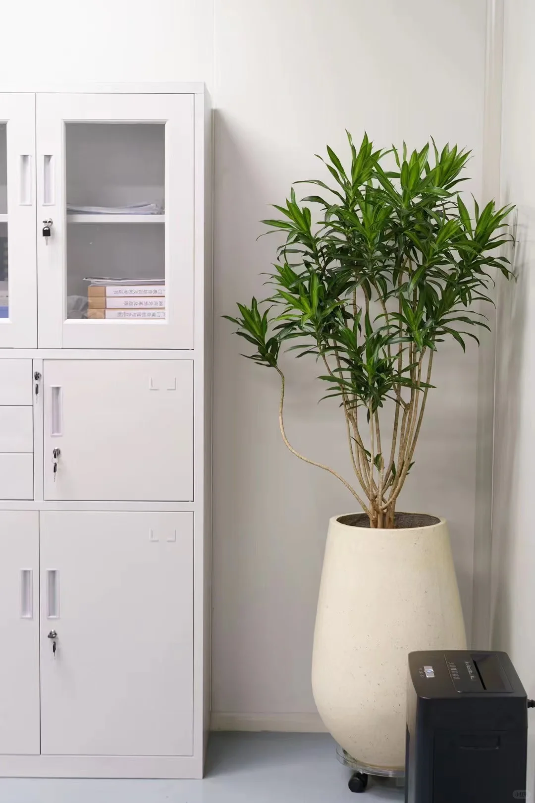 专业工厂生产，不是小作坊！！