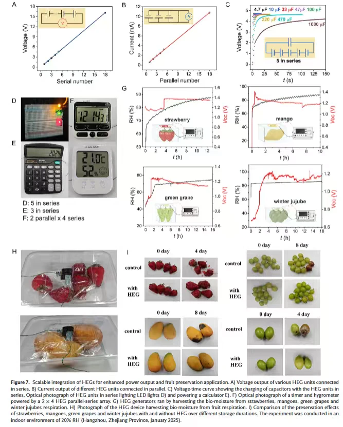 仿生吸湿-蒸发发电机多形态能量收集