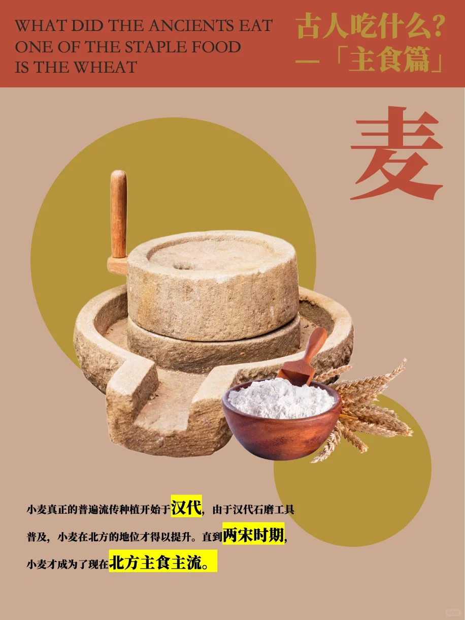 古人吃什么主食？粟、黍、麦、稻、菽！