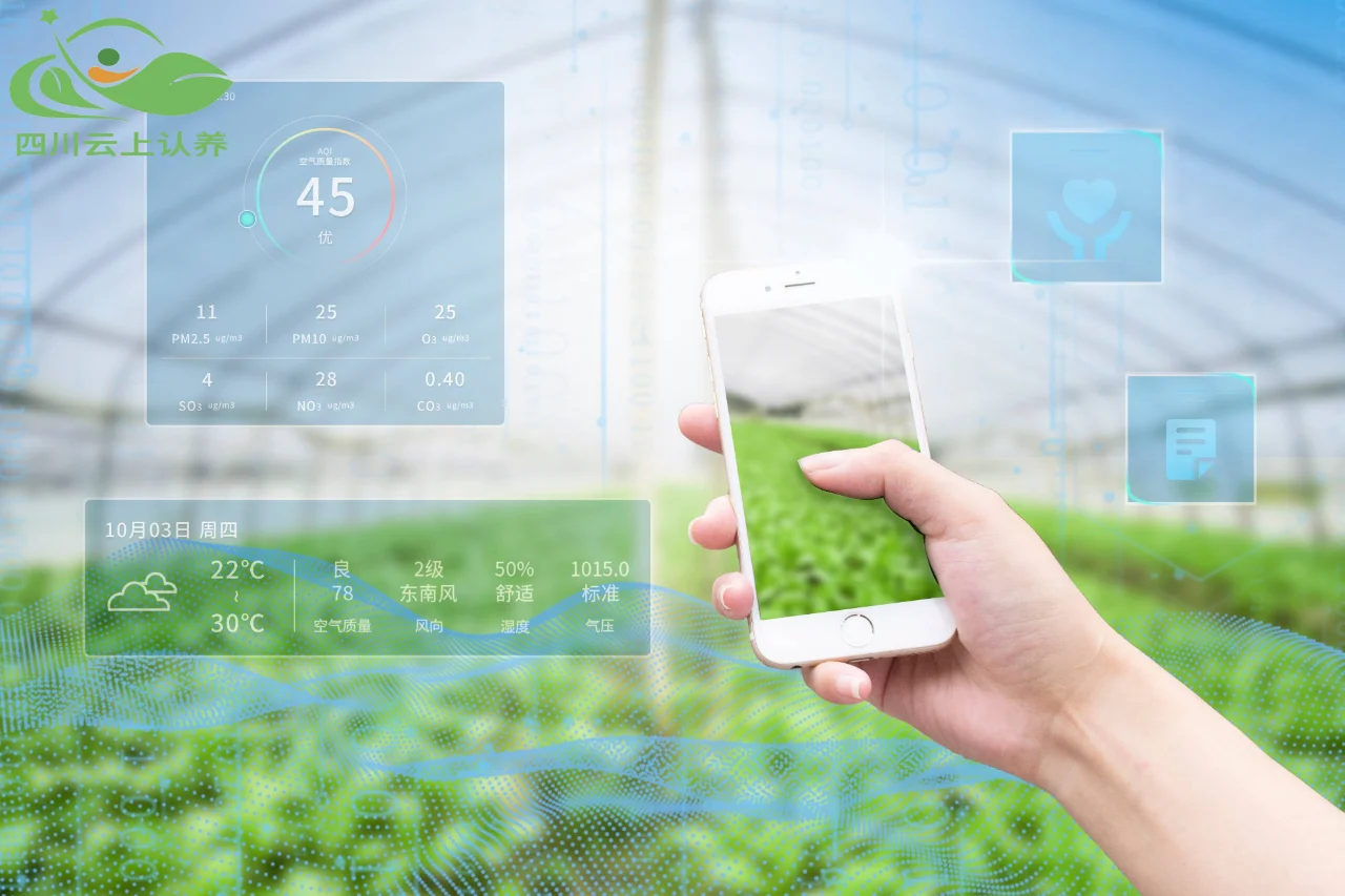 可视化认养农民增收新路径，乡村振兴新实践