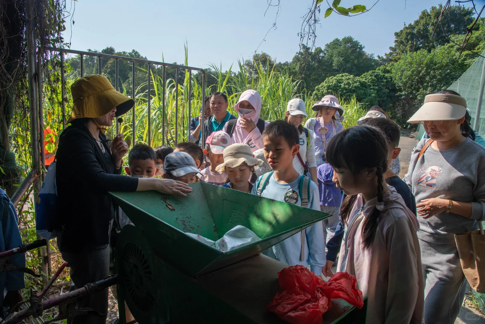 一起来割稻子吧