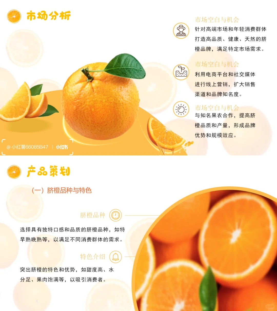 【带内容】脐橙助农项目策划方案PPT模板
