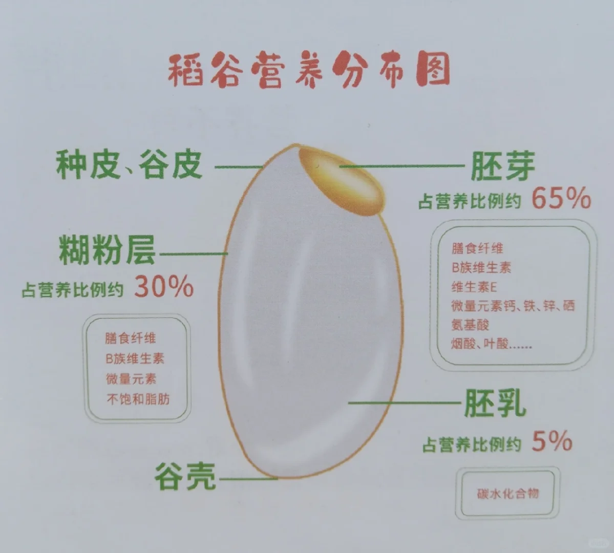 农业致富新技术：稻谷营养分布图