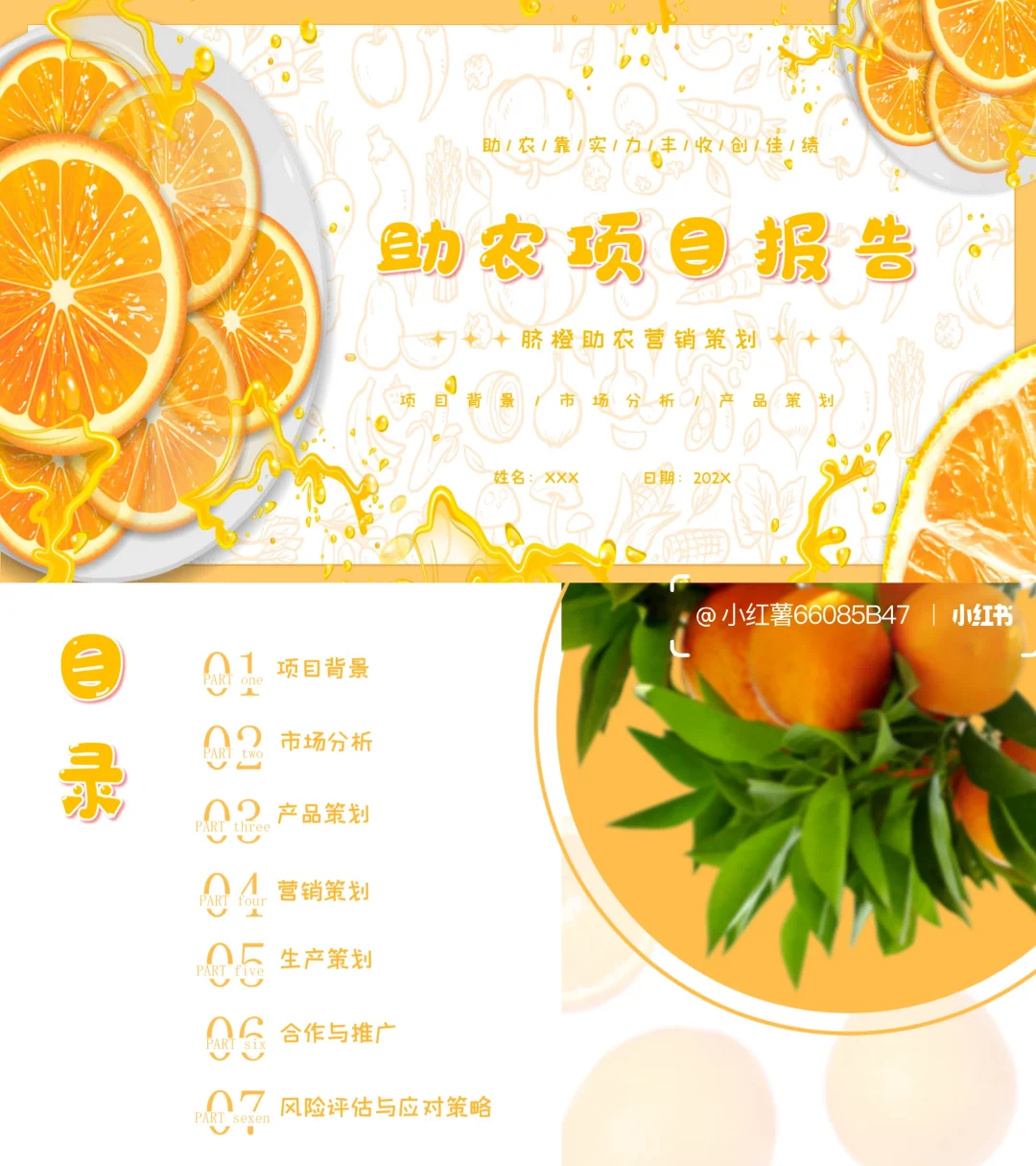 【带内容】脐橙助农项目策划方案PPT模板
