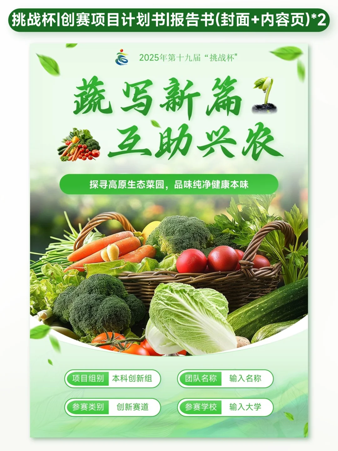 蔬菜主题创赛计划书封面内页模板?