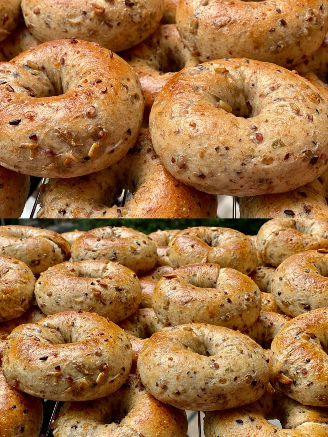 内心的第一:十谷米杂粮贝果(无馅料)