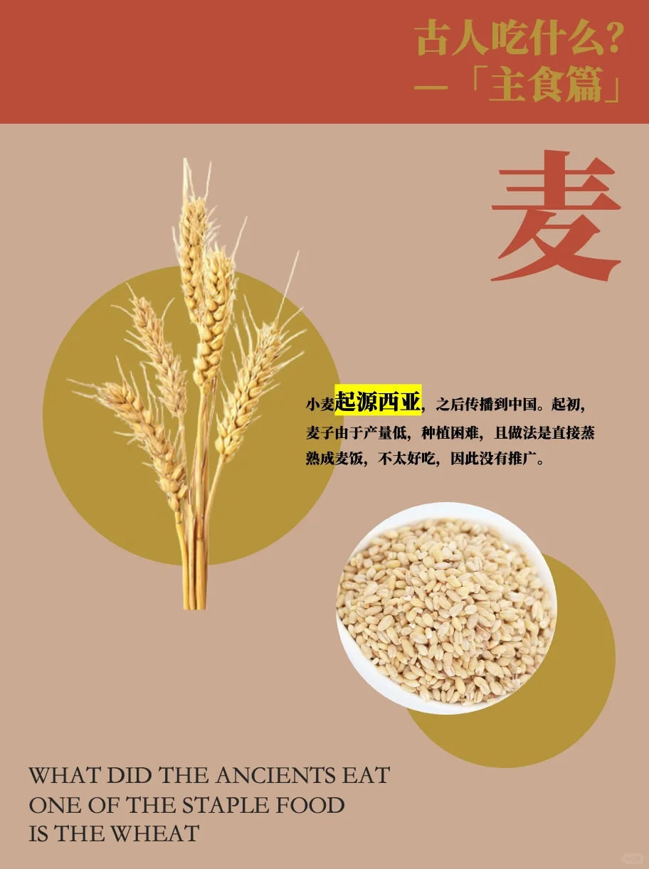 古人吃什么主食？粟、黍、麦、稻、菽！