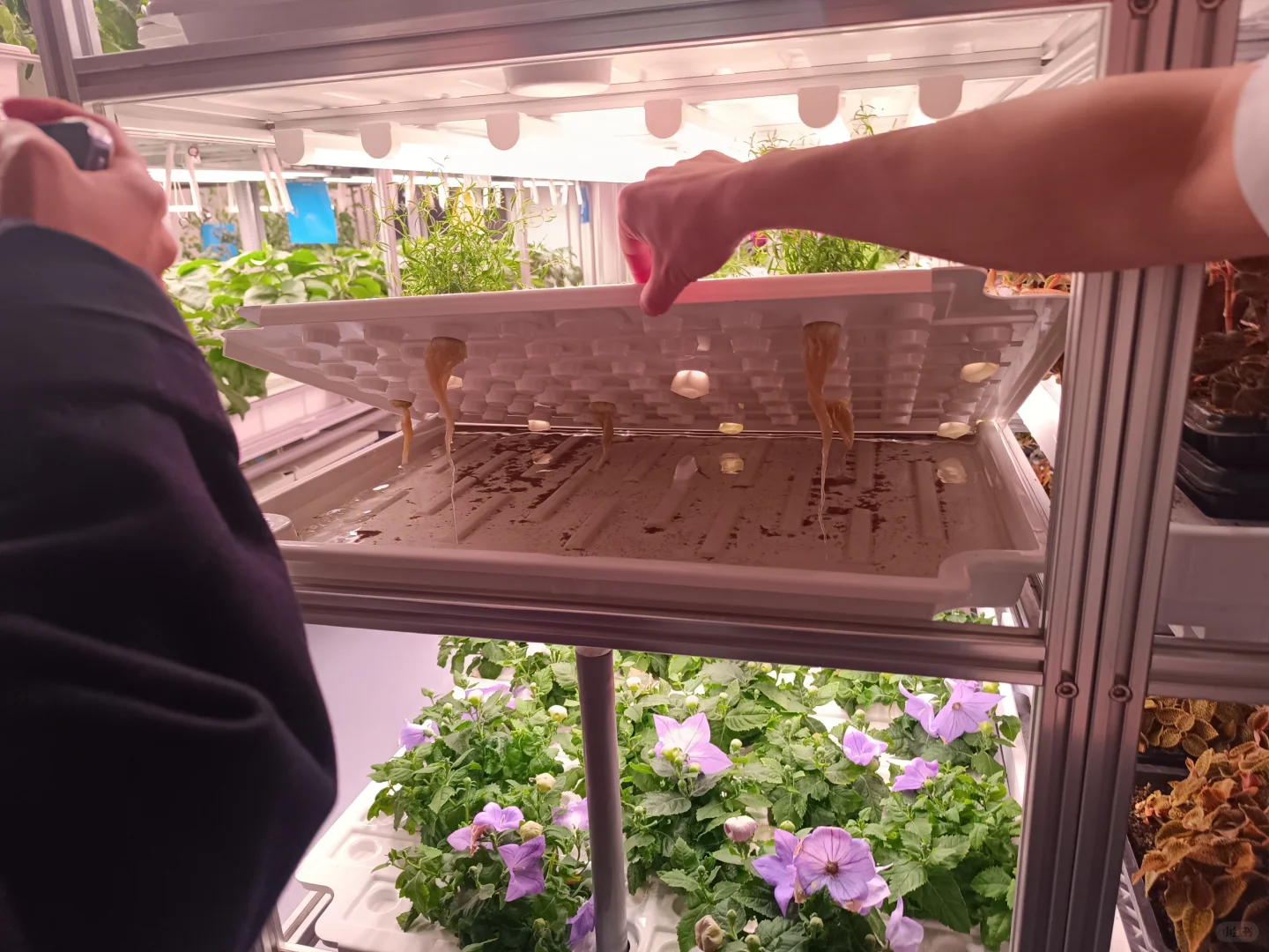 生活中的地理教学素材-四维生态数字农业