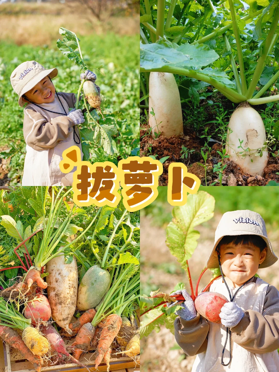 杭州秋季亲子活动‼️带娃打卡12项农事体验?