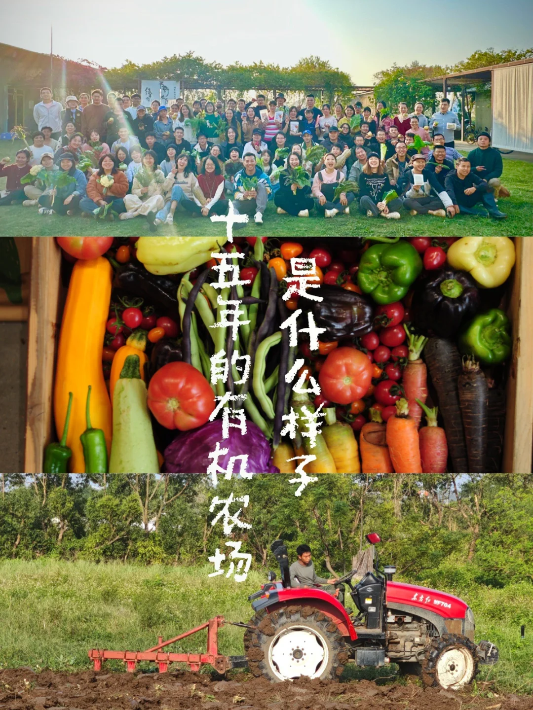 十五年的有机农场是什么样子？