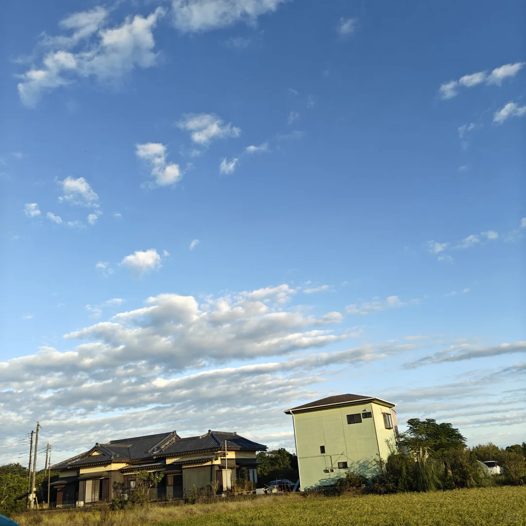 日本农业技能实习