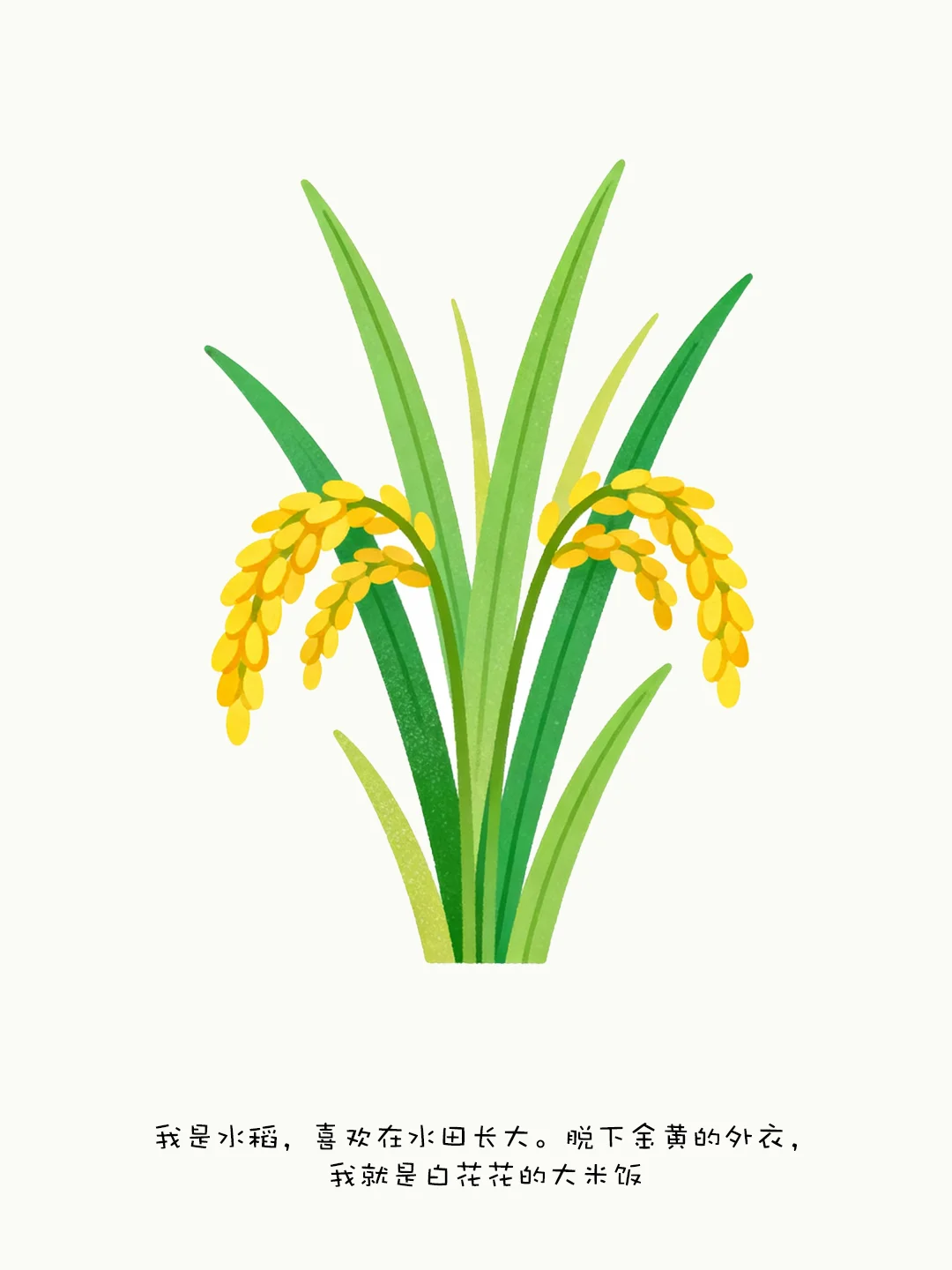 ?五谷豆豆魔法书！宝妈必入！