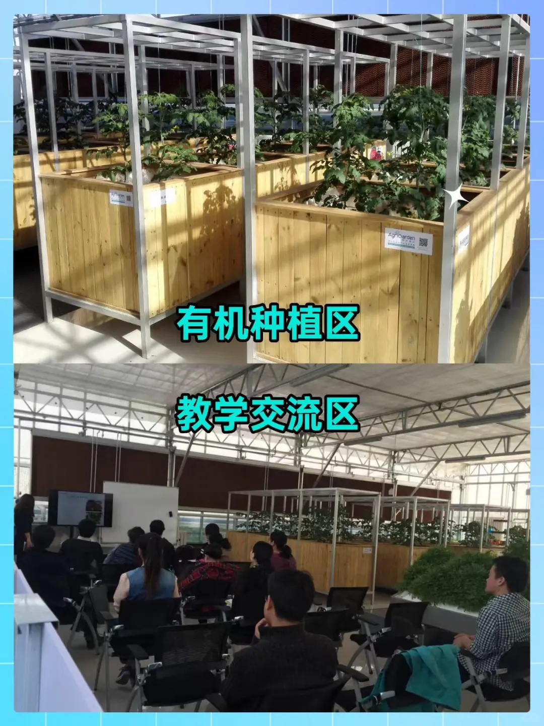 实验楼顶居然打造成了校园农场