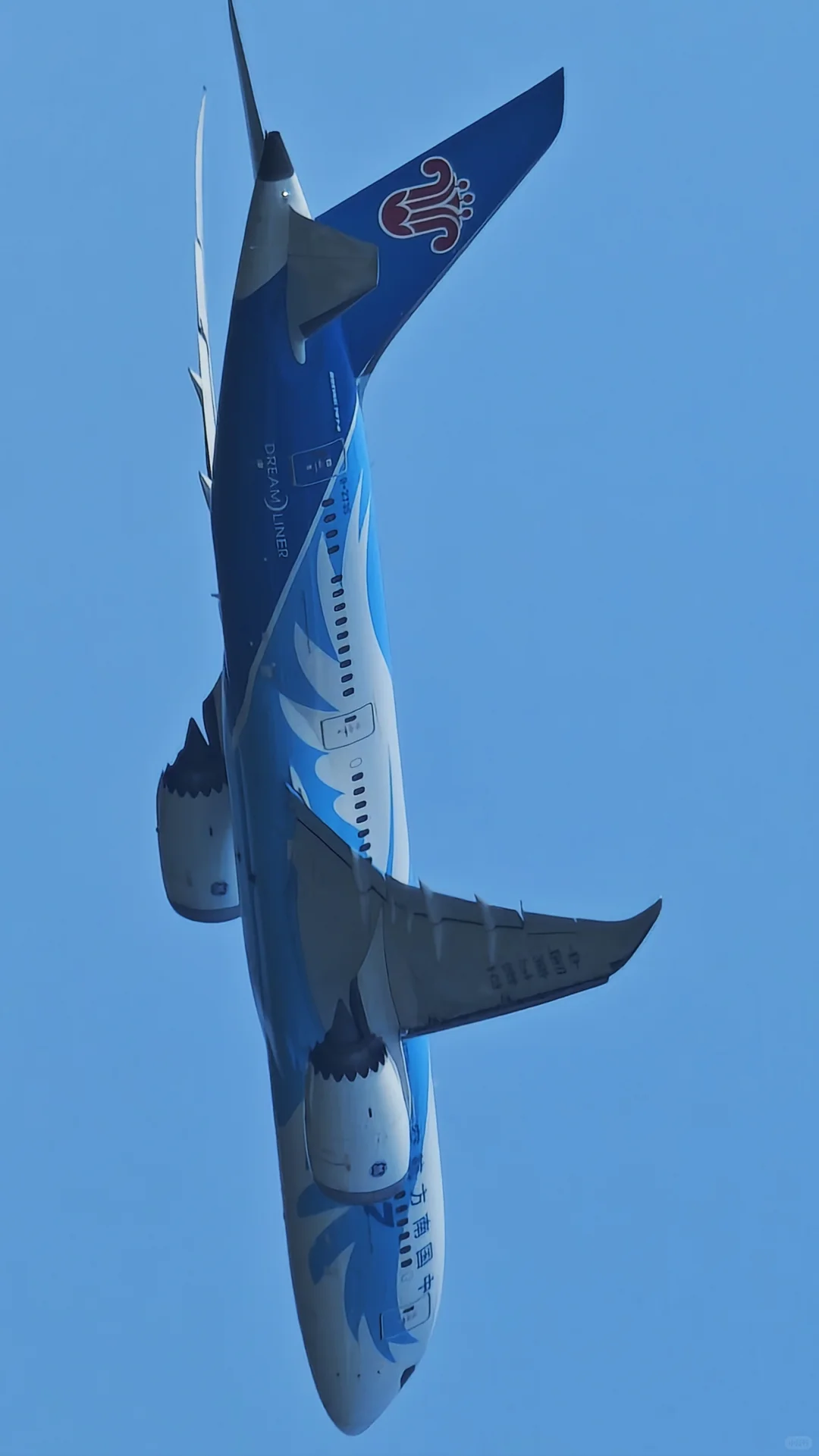 解锁禄口机场宽体机全部机型