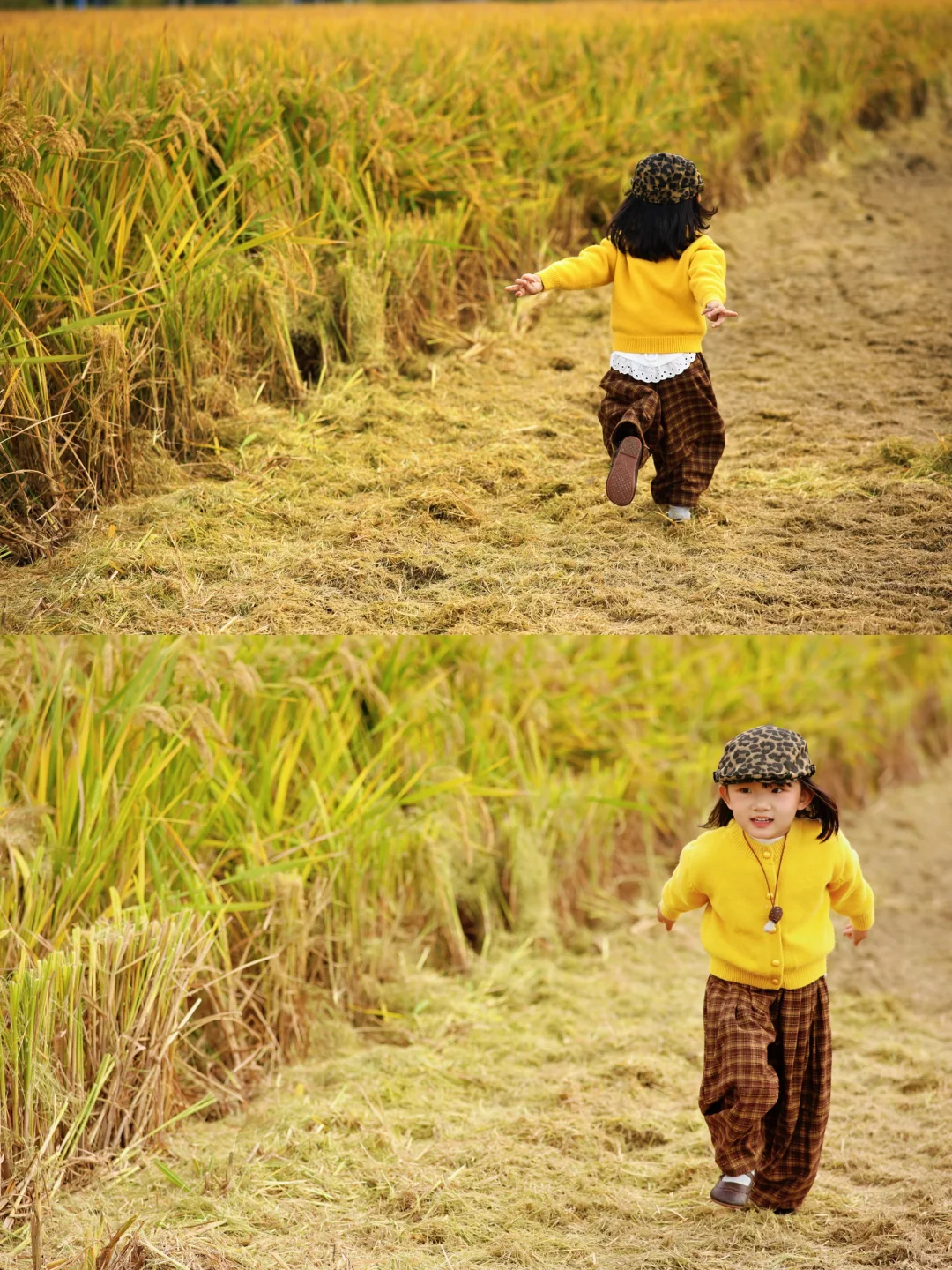 杭州稻田遛娃拍出电影感!娃的红脸蛋全靠它!