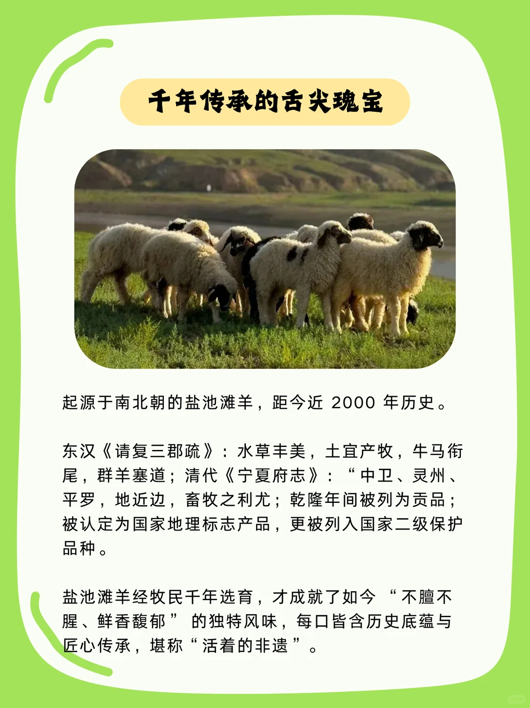  国宴抢着用的“盐池滩羊”到底什么来头？