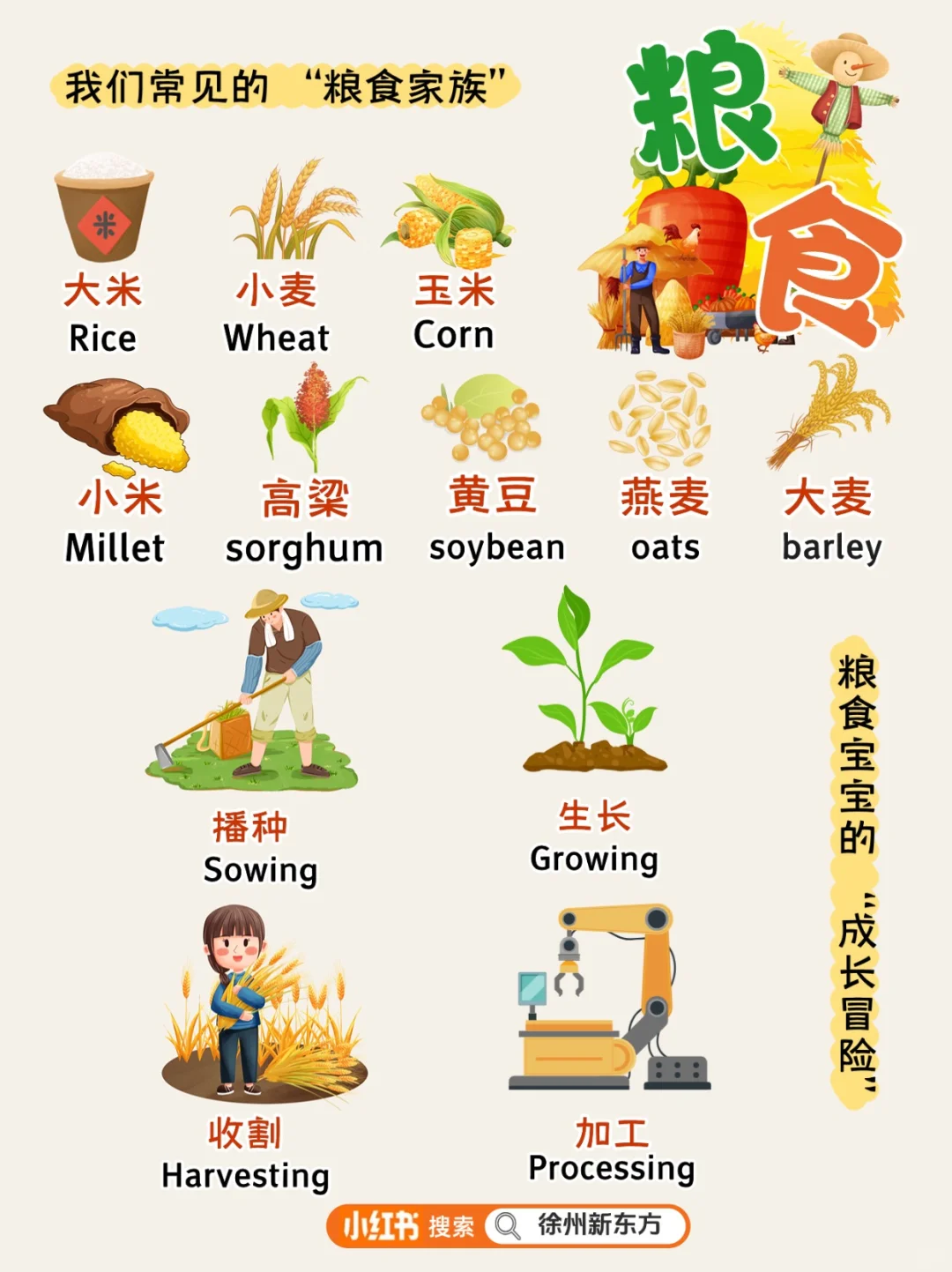 ?粮食|别让 “粒粒皆辛苦” 只停在课本