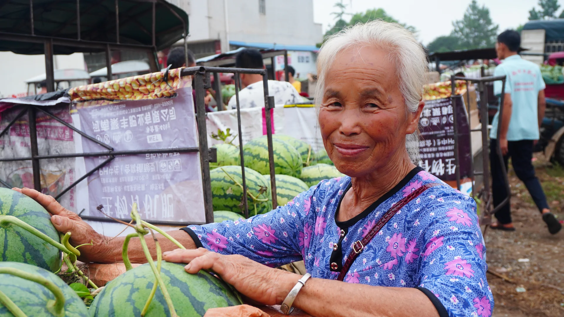 力源助农增收,西瓜甜满人间!买一个西瓜