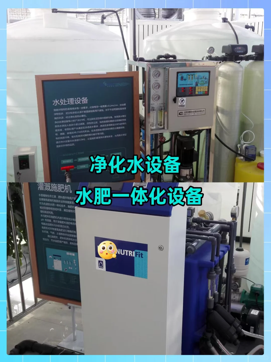 实验楼顶居然打造成了校园农场