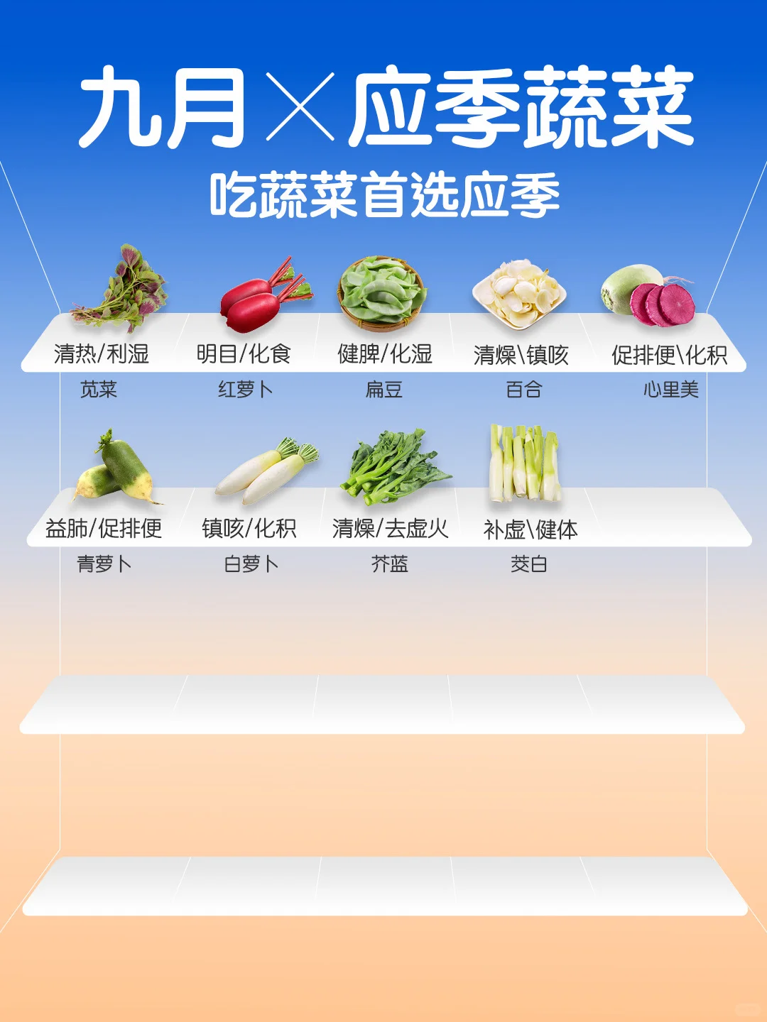 9 ?️ 应季蔬菜速查? ｜吃蔬菜首选应季?
