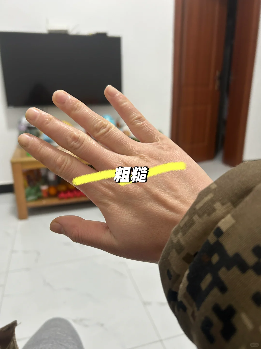 24届毕业生养猪半年❗️